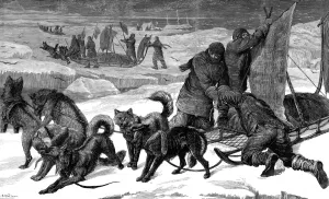 Drawn Prints: Dog Sledges ready for use in the Arctic, 1875
