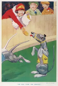 Spectators Prints: My Dog Took the Biscuit by G. E. Studdy