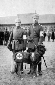 Germans Prints: The Dog in War