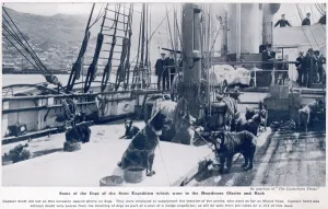 Nova Prints: Some of the dogs of the Scott expedition