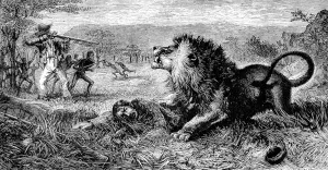August Prints: Dr. David Livingstone attacked by a lion, 1843