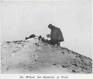 Discovery Prints: Dr. Wilson at work