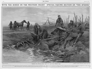 Rescued Prints: Dragging two artillery horses on Western Front by Matania