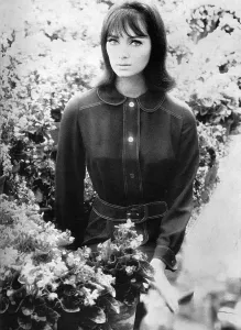 1965 Prints: Dress by Ginger Group - Mary Quant, 1965