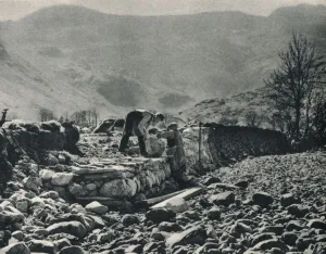 1950s Prints: Drystone Walls of the North