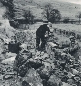 Line Prints: Drystone Walls of the North