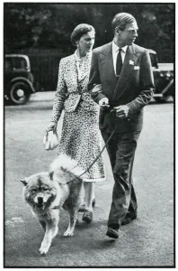 Duchess Prints: Duke and Duchess of Kent walking their chow dog, Sept 1939