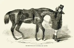 Procession Prints: Duke of Wellington's horse and groom