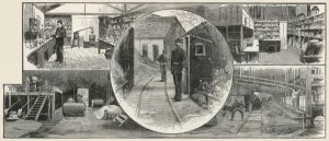 Explosives Prints: Dynamite at Nobel Works