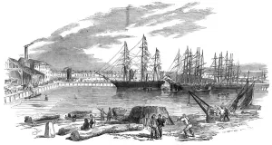 Dock Prints: East and West India Dock, London - Arrival of John Bowes