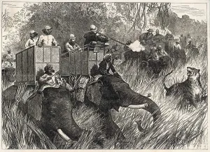 Elephants Prints: Edward Hunting Tigers