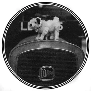 Accessories Prints: Edward VIIs dog Caesar becomes a car mascot