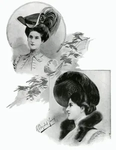 Plumes Prints: Edwardian womens hats 1905