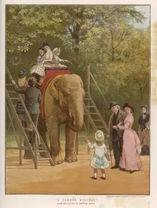 Zoos Prints: Elephant Ride