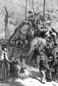 Elephants Prints: Elephant Rides at London Zoo, 1871