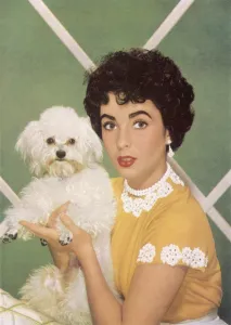 Personality Prints: Elizabeth Taylor
