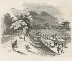 Derby Prints: England / Derby Arboretum