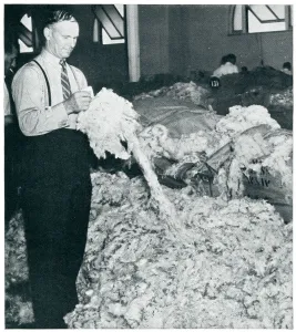 Dominions Prints: Entire wool clip from Australia bound for Britain 1939