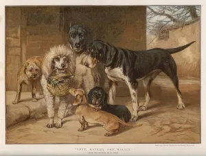 Poodle Prints: Envy, Hatred, Malice