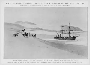 Discovery Prints: Events / Exploration / Polar