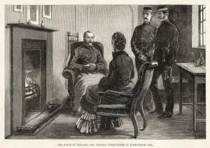 Parnell Prints: Events / Ireland / 1881