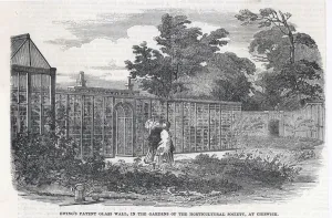Horticultural Prints: Ewings glass wall, Chiswick, London