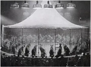 1920s Prints: Exhibition at the Olympia Circus