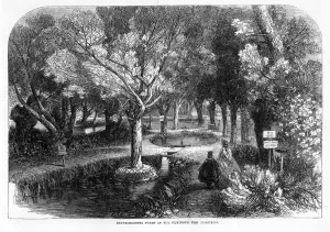 Dec18 Prints: Experimenting Ponds at the Huningue Fish Nurseries
