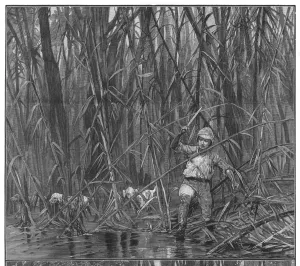 Bamboo Prints: Exploring Bamboo Jungle