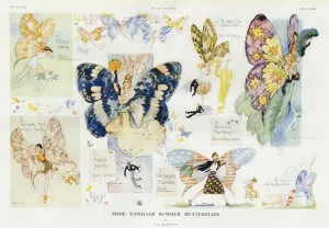 Butter Fly Prints: Some Familiar Summer Butterflies by A. K. Macdonald