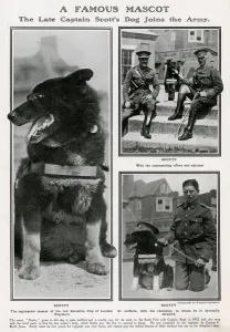 Battalion Prints: A famous mascot - Captain Scott dog joins the Army