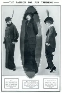 Feather Prints: Fashion for fur trimming 1913