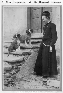 Trained Prints: Father of the Monastery of Saint. Bernard, with dogs