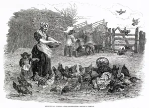 Feeding Prints: FEEDING THE HENS 1847