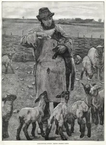 Feeding Prints: FEEDING LAMBS BY BOTTLE