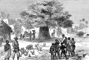 Boys Prints: Fetish tree in a village near Cape Coast Castle, 1873