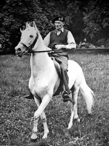 Cairo Prints: Field-Marshal Montgomery on horseback, 1945