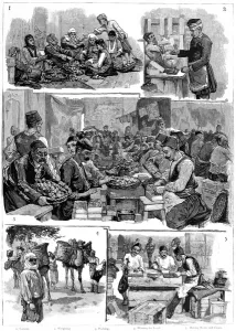 Waiting Prints: Fig Industry in Smyrna