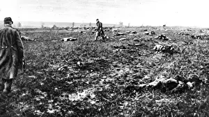 Action Prints: After a fight in Champagne: Bodies of fallen German soldiers strewn over a battlefield after action