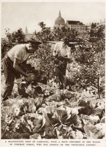 Firefighter Prints: Firemens Farm in the Heart of the City WWII