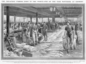 1854 Prints: A Fish Pontoon at Grimsby by Fortunio Matania