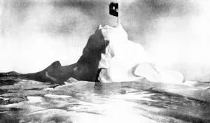 Flag Prints: The Flag of the United States of America at the North Pole