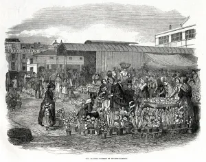 Displayed Prints: Flower Market in Covent Garden, London 1848