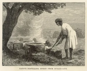 Cane Prints: Food and Drink / Sugarcane