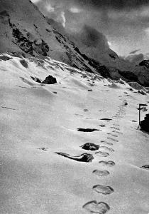 Feet Prints: Footprints of a mysterious creature in the Himalayan mountai