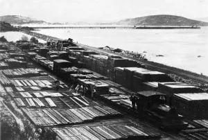 Forest Prints: Forest railway, Western Australia