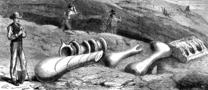 Bones Prints: Fossils in Colorado