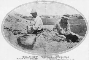 Dinosaur Prints: Fossils / Palaeontologists