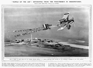 Biplane Prints: Fowls of the Air