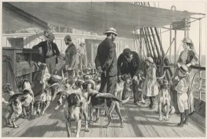 Pack Prints: Foxhounds sent to India